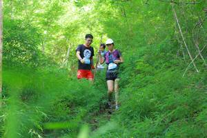 BIB: 
                            <button type="button" onclick="openModal(22097418)" class="btn btn-primary btn-sm float-right btn-popup" data-toggle="modal" data-target=".modal-high-quality">
                        <i class="fas fa-shopping-cart"></i> Add to Cart
                    </button>
                                            <button type="button" onclick="isThisMe(22097418, true)" class="btn btn-success btn-sm float-right btn-popup btn-isme hidden" data-toggle="tooltip" data-placement="bottom" title="นี่คือรูปของคุณใช่ไหม คลิกที่นี่เพื่อเอาเข้าอัลบั้ม">
                        <i class="fas fa-plus"></i> Add to album
                    </button>
                    <button type="button" onclick="isThisMe(22097418, false)" class="btn btn-warning btn-sm float-right btn-popup btn-isnotme hidden">
                        <i class="fas fa-ban"></i> Remove from album
                    </button>